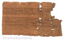 PSI XII 1261 v.jpg