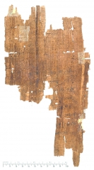 PSI XII 1276 v.jpg