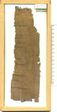 PSI XII 1291 r.jpg