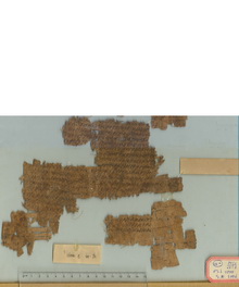 PSI XIII 1299 v.jpg